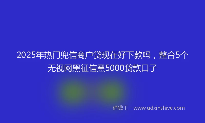 2025年热门兜信商户贷现在好下款吗，整合5个无视网黑征信黑5000贷款口子