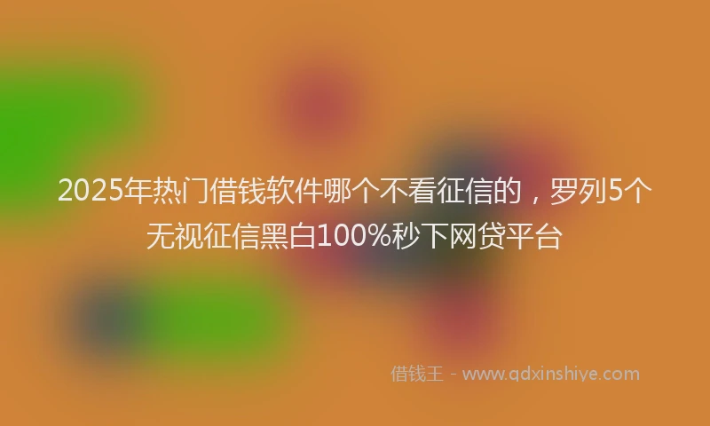 2025年热门借钱软件哪个不看征信的，罗列5个无视征信黑白100%秒下网贷平台