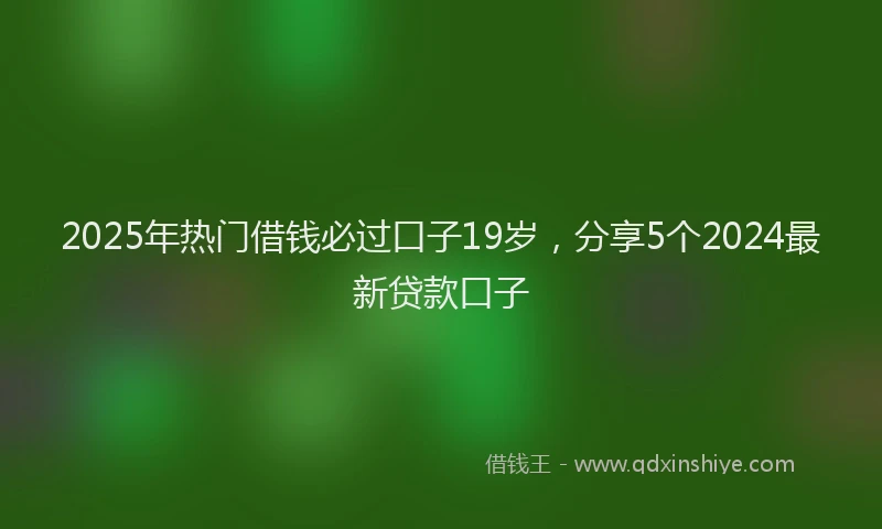 2025年热门借钱必过口子19岁，分享5个2024最新贷款口子