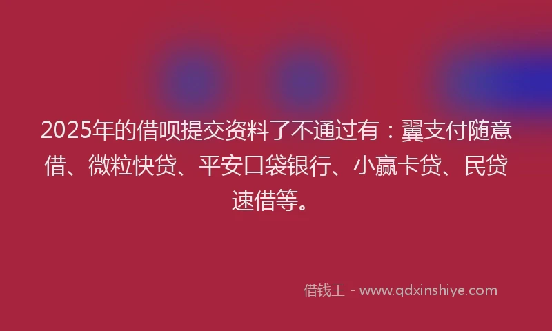 2025年的借呗提交资料了不通过有：翼支付随意借、微粒快贷、平安口袋银行、小赢卡贷、民贷速借等。