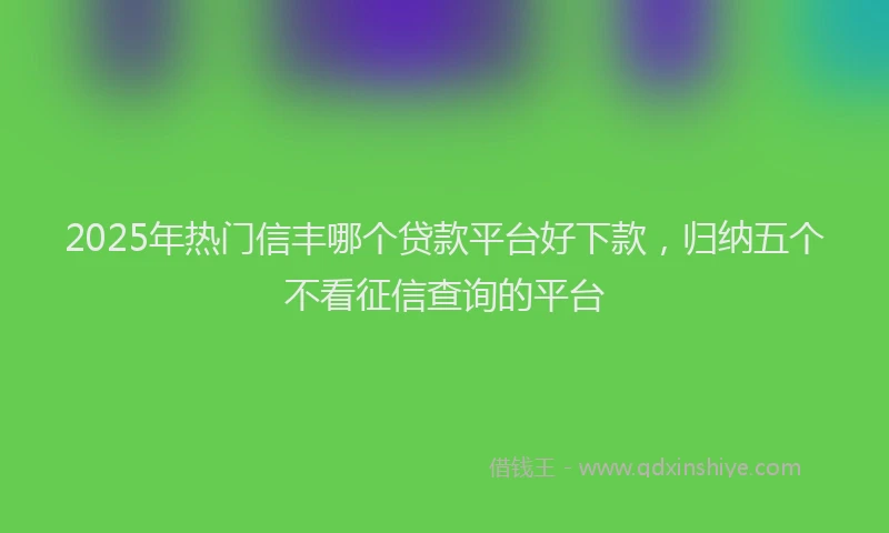 2025年热门信丰哪个贷款平台好下款，归纳五个不看征信查询的平台
