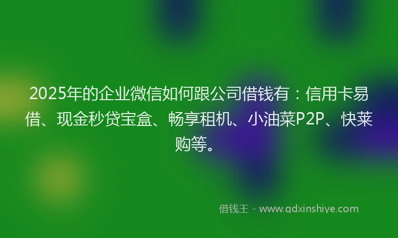 2025年的企业微信如何跟公司借钱有：信用卡易借、现金秒贷宝盒、畅享租机、小油菜P2P、快莱购等。