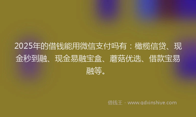 2025年的借钱能用微信支付吗有：橄榄信贷、现金秒到融、现金易融宝盒、蘑菇优选、借款宝易融等。