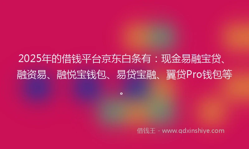 2025年的借钱平台京东白条有：现金易融宝贷、融资易、融悦宝钱包、易贷宝融、翼贷Pro钱包等。
