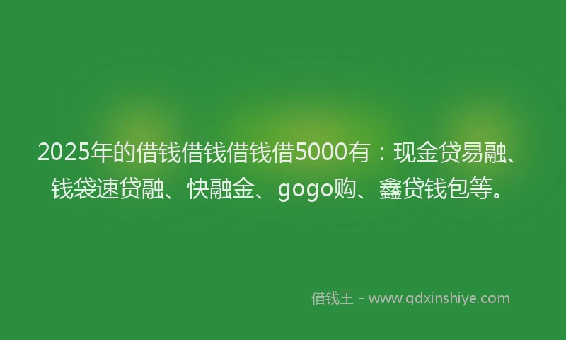 2025年的借钱借钱借钱借5000有：现金贷易融、钱袋速贷融、快融金、gogo购、鑫贷钱包等。