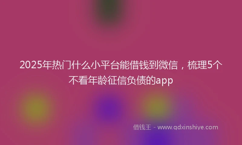 2025年热门什么小平台能借钱到微信，梳理5个不看年龄征信负债的app