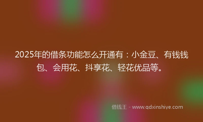 2025年的借条功能怎么开通有：小金豆、有钱钱包、会用花、抖享花、轻花优品等。