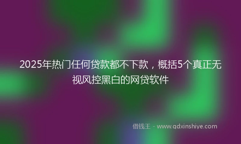 2025年热门任何贷款都不下款，概括5个真正无视风控黑白的网贷软件