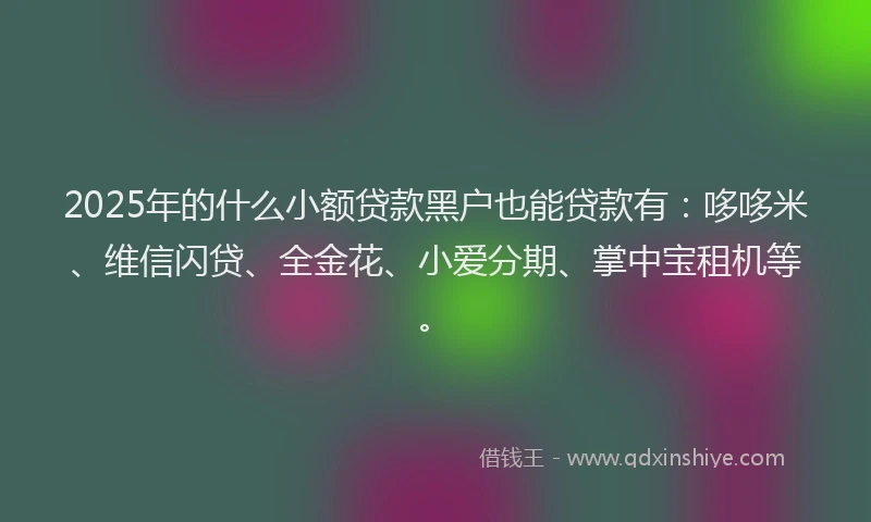 2025年的什么小额贷款黑户也能贷款有：哆哆米、维信闪贷、全金花、小爱分期、掌中宝租机等。