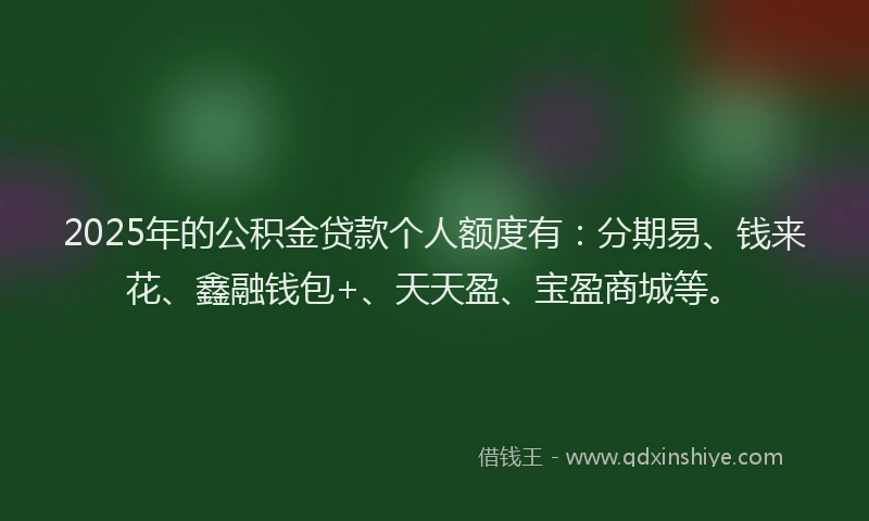 2025年的公积金贷款个人额度有：分期易、钱来花、鑫融钱包+、天天盈、宝盈商城等。