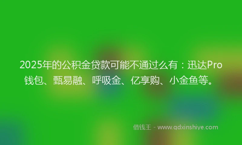 2025年的公积金贷款可能不通过么有：迅达Pro钱包、甄易融、呼吸金、亿享购、小金鱼等。