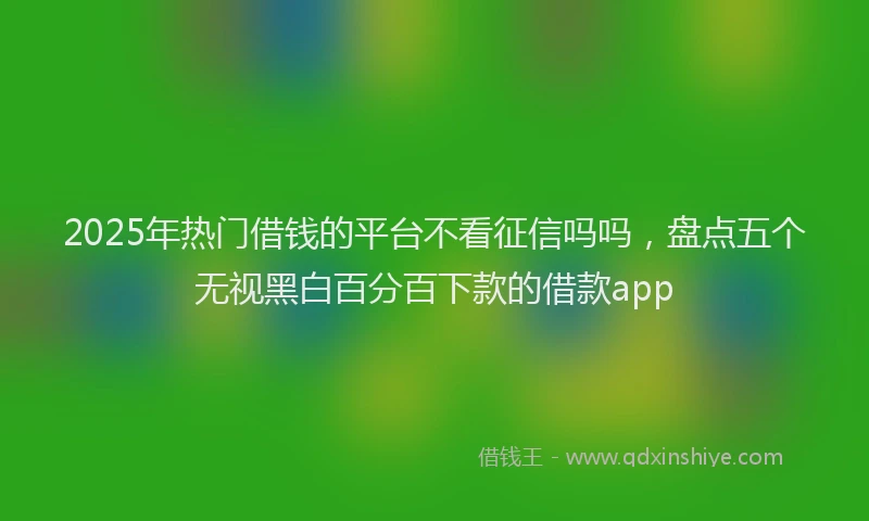 2025年热门借钱的平台不看征信吗吗，盘点五个无视黑白百分百下款的借款app