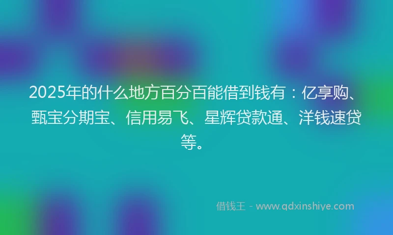 2025年的什么地方百分百能借到钱有：亿享购、甄宝分期宝、信用易飞、星辉贷款通、洋钱速贷等。