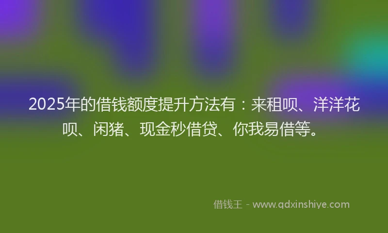 2025年的借钱额度提升方法有：来租呗、洋洋花呗、闲猪、现金秒借贷、你我易借等。