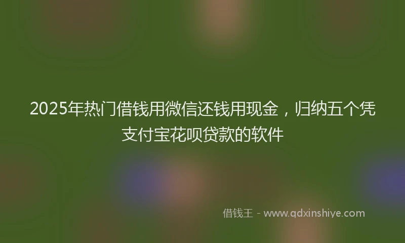 2025年热门借钱用微信还钱用现金，归纳五个凭支付宝花呗贷款的软件