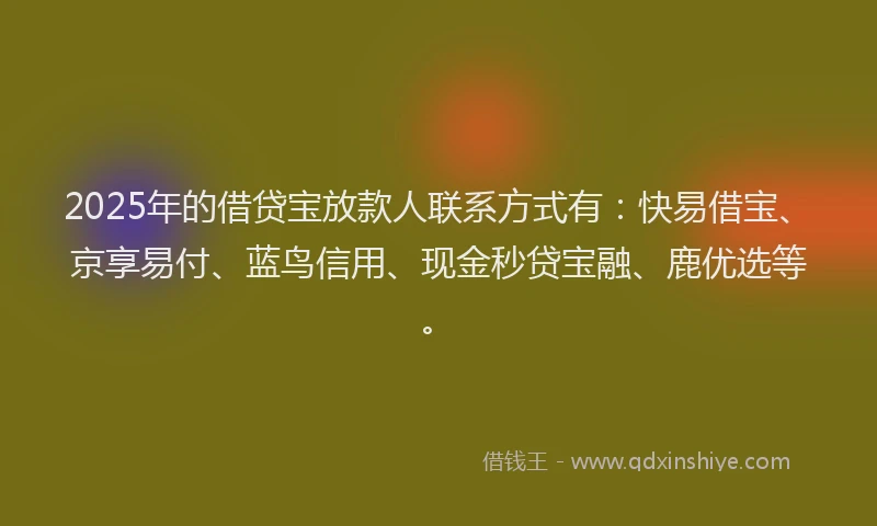 2025年的借贷宝放款人联系方式有：快易借宝、京享易付、蓝鸟信用、现金秒贷宝融、鹿优选等。