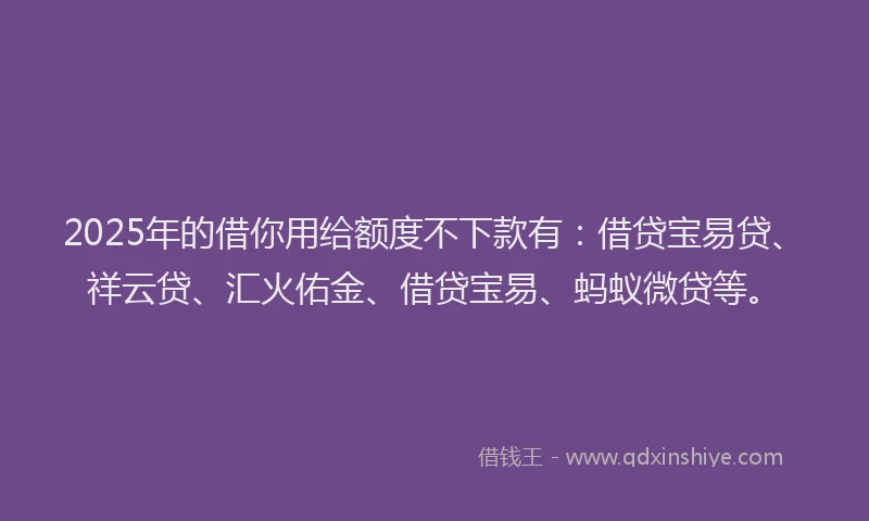 2025年的借你用给额度不下款有：借贷宝易贷、祥云贷、汇火佑金、借贷宝易、蚂蚁微贷等。