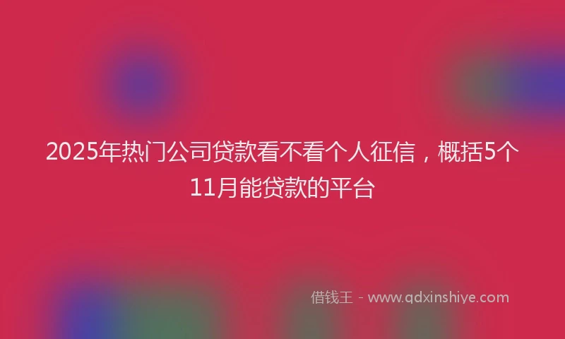 2025年热门公司贷款看不看个人征信，概括5个11月能贷款的平台