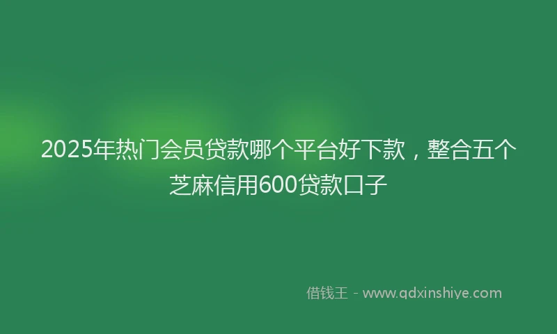 2025年热门会员贷款哪个平台好下款，整合五个芝麻信用600贷款口子