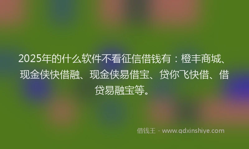 2025年的什么软件不看征信借钱有：橙丰商城、现金侠快借融、现金侠易借宝、贷你飞快借、借贷易融宝等。