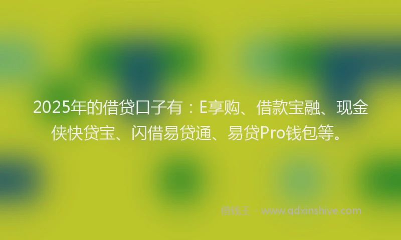 2025年的借贷口子有：E享购、借款宝融、现金侠快贷宝、闪借易贷通、易贷Pro钱包等。