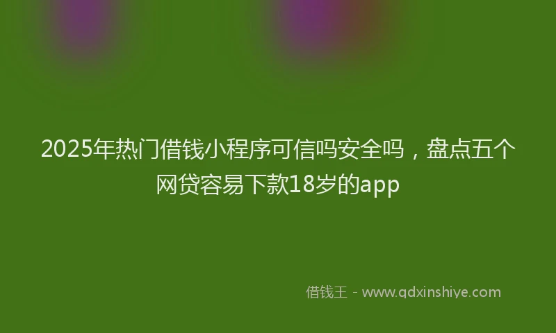 2025年热门借钱小程序可信吗安全吗，盘点五个网贷容易下款18岁的app