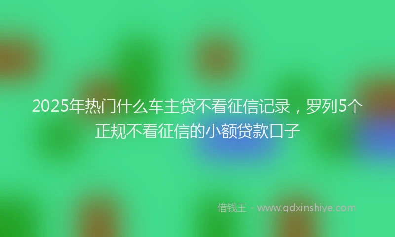 2025年热门什么车主贷不看征信记录，罗列5个正规不看征信的小额贷款口子