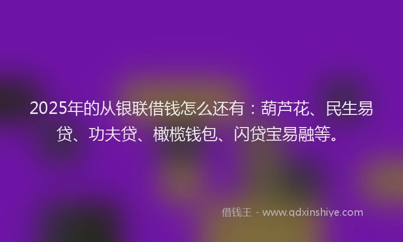 2025年的从银联借钱怎么还有：葫芦花、民生易贷、功夫贷、橄榄钱包、闪贷宝易融等。