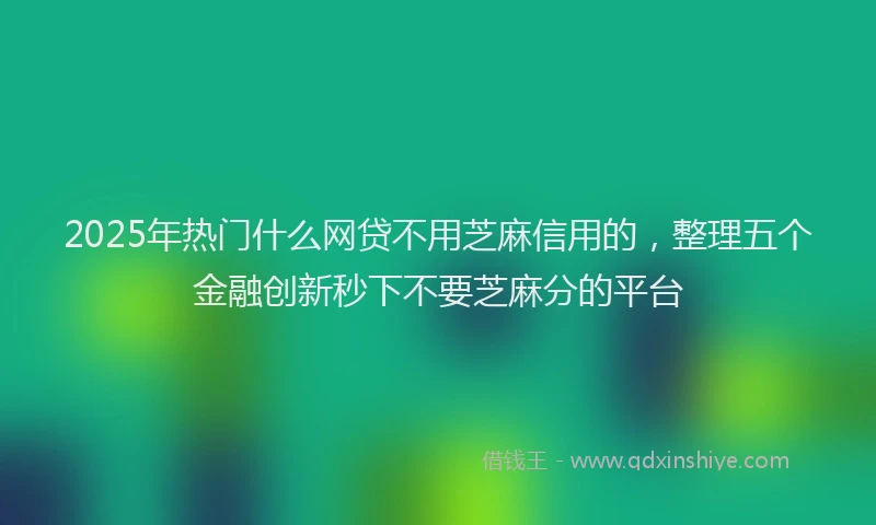 2025年热门什么网贷不用芝麻信用的，整理五个金融创新秒下不要芝麻分的平台