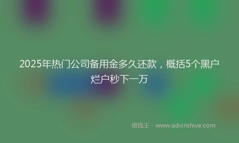 2025年热门公司备用金多久还款，概括5个黑户烂户秒下一万
