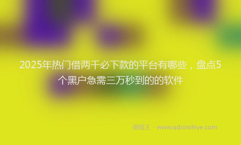 2025年热门借两千必下款的平台有哪些，盘点5个黑户急需三万秒到的的软件