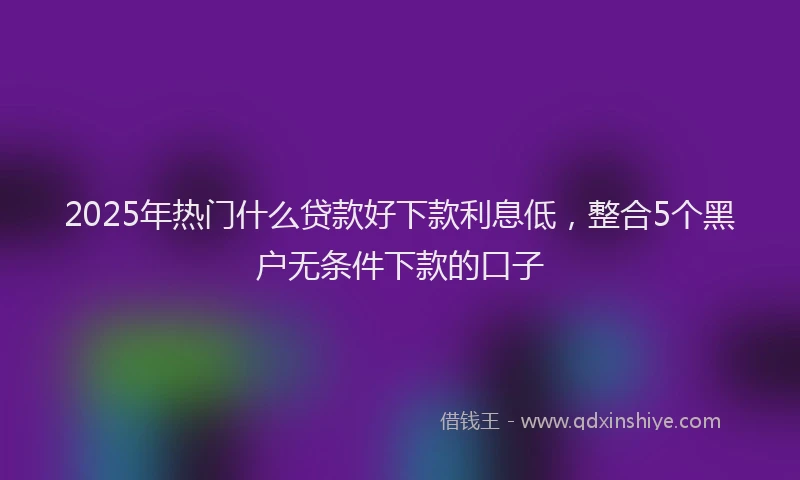 2025年热门什么贷款好下款利息低，整合5个黑户无条件下款的口子