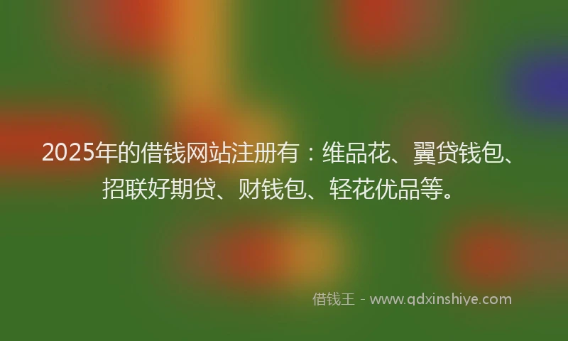 2025年的借钱网站注册有：维品花、翼贷钱包、招联好期贷、财钱包、轻花优品等。