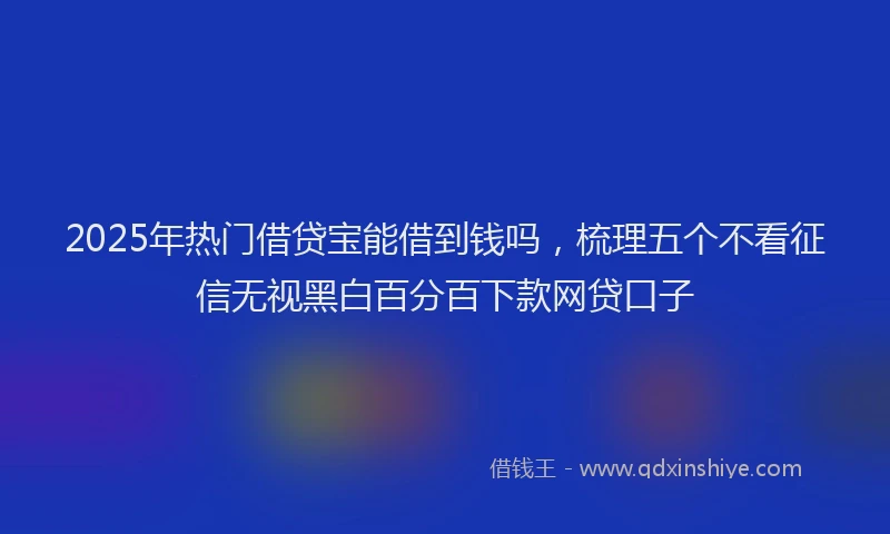 2025年热门借贷宝能借到钱吗，梳理五个不看征信无视黑白百分百下款网贷口子