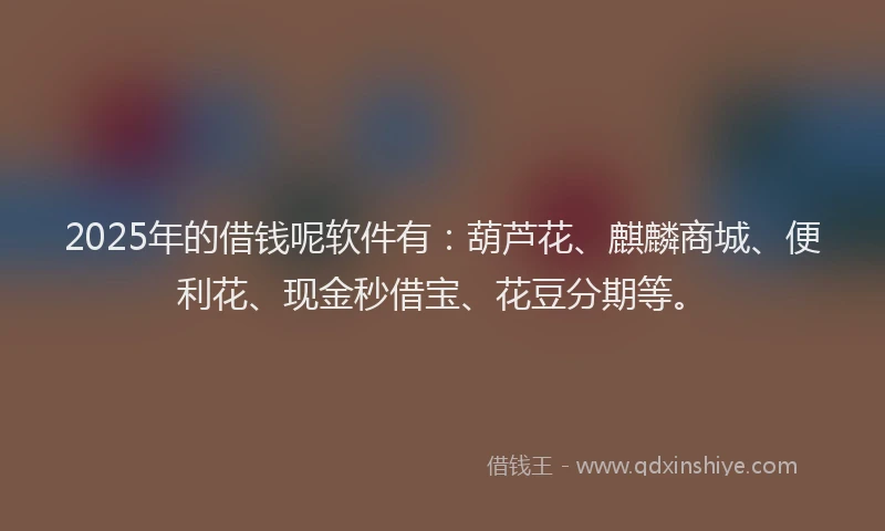 2025年的借钱呢软件有：葫芦花、麒麟商城、便利花、现金秒借宝、花豆分期等。