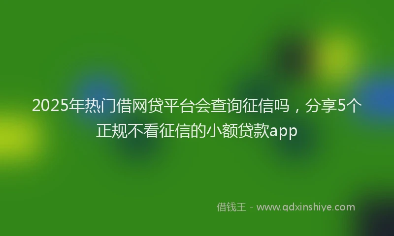 2025年热门借网贷平台会查询征信吗，分享5个正规不看征信的小额贷款app