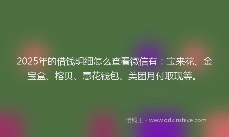 2025年的借钱明细怎么查看微信有：宝来花、金宝盒、榕贝、惠花钱包、美团月付取现等。