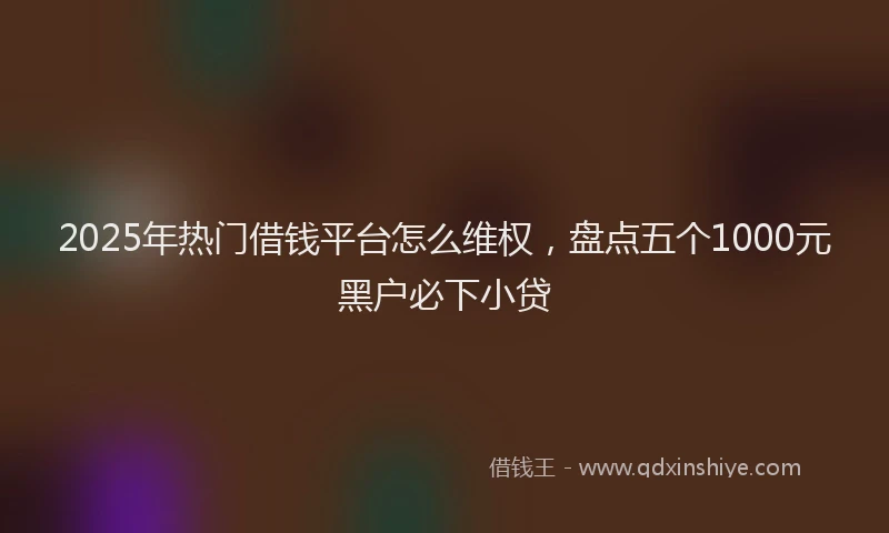 2025年热门借钱平台怎么维权，盘点五个1000元黑户必下小贷