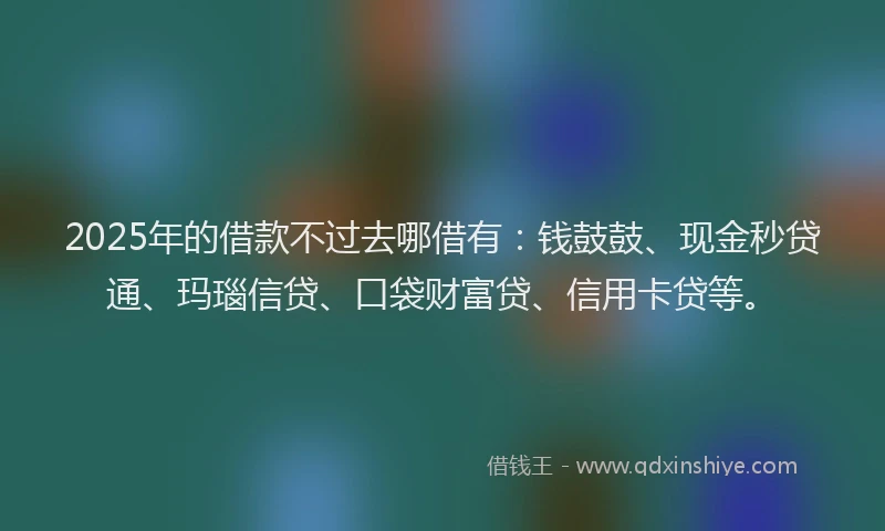 2025年的借款不过去哪借有：钱鼓鼓、现金秒贷通、玛瑙信贷、口袋财富贷、信用卡贷等。
