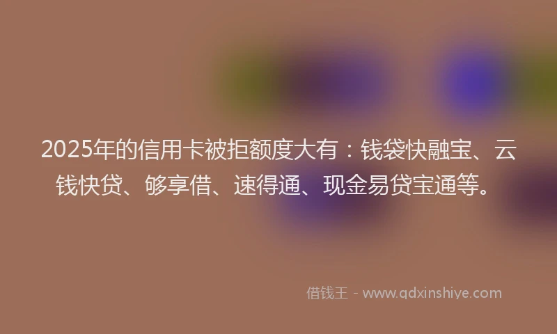 2025年的信用卡被拒额度大有：钱袋快融宝、云钱快贷、够享借、速得通、现金易贷宝通等。