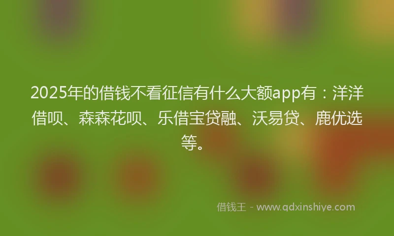 2025年的借钱不看征信有什么大额app有：洋洋借呗、森森花呗、乐借宝贷融、沃易贷、鹿优选等。