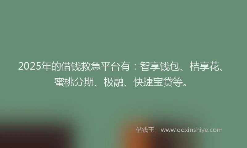2025年的借钱救急平台有：智享钱包、桔享花、蜜桃分期、极融、快捷宝贷等。