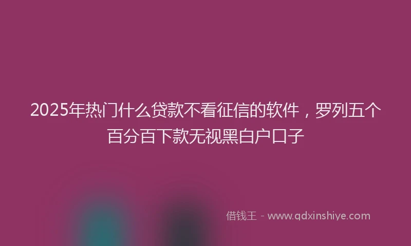 2025年热门什么贷款不看征信的软件，罗列五个百分百下款无视黑白户口子
