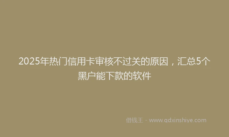 2025年热门信用卡审核不过关的原因，汇总5个黑户能下款的软件