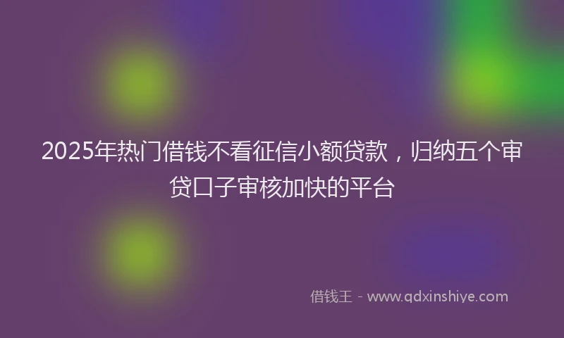 2025年热门借钱不看征信小额贷款，归纳五个审贷口子审核加快的平台