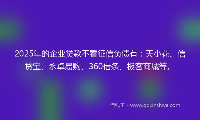 2025年的企业贷款不看征信负债有：天小花、信贷宝、永卓易购、360借条、极客商城等。
