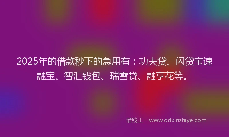 2025年的借款秒下的急用有：功夫贷、闪贷宝速融宝、智汇钱包、瑞雪贷、融享花等。