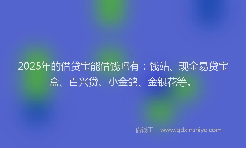 2025年的借贷宝能借钱吗有：钱站、现金易贷宝盒、百兴贷、小金鸽、金银花等。