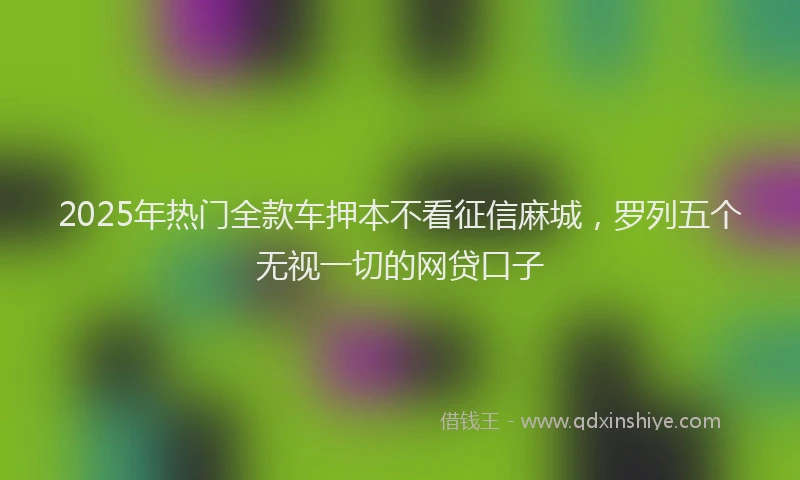 2025年热门全款车押本不看征信麻城，罗列五个无视一切的网贷口子