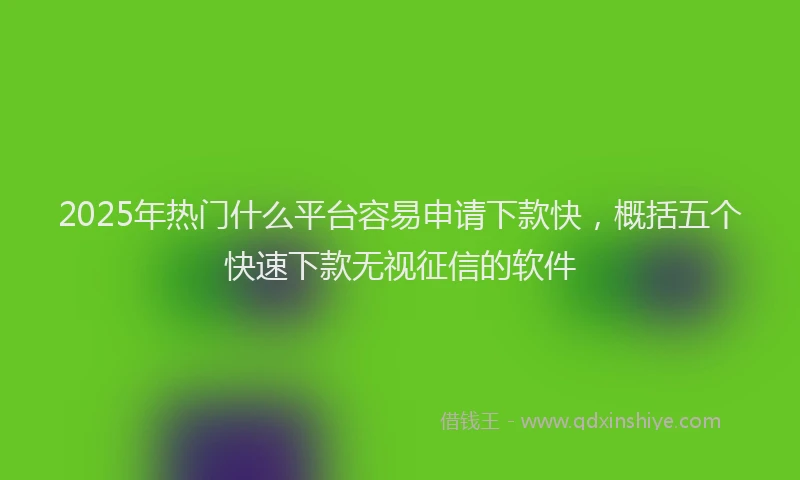 2025年热门什么平台容易申请下款快，概括五个快速下款无视征信的软件